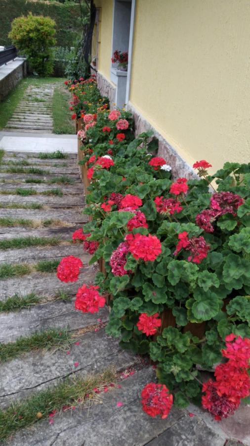 Apartamentos La Huerta de la Torre Cangas de Onis Bagian luar foto